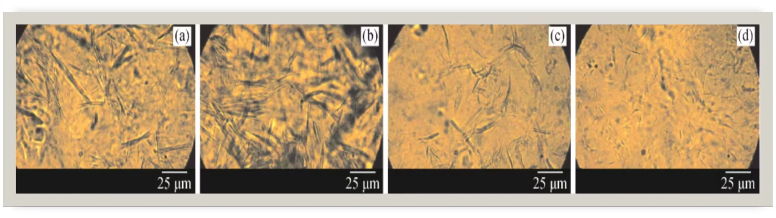Microscope comparison of wax deposition before and after electromagnetic treatment